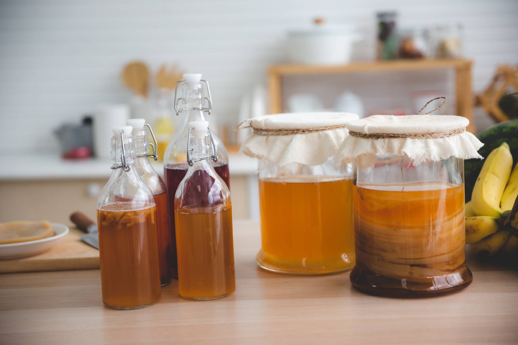 How to Make Kombucha: The Big Book of Kombucha